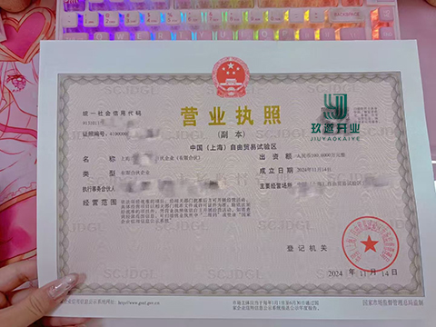 上海注冊有限合伙企業(yè)優(yōu)勢總結